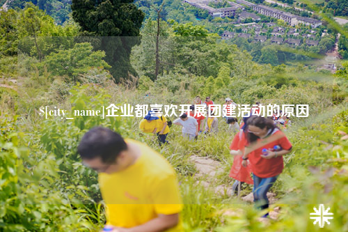 新乡企业都喜欢开展团建活动的原因